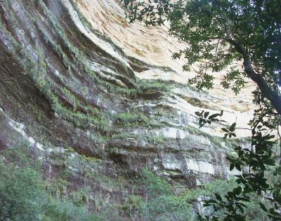Looking up at the sandstone cliffs - 2