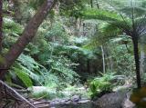 Hell Hole Gorge