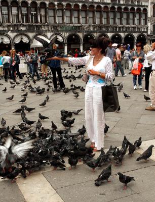 Lady Feeding Pidgeons i.jpg