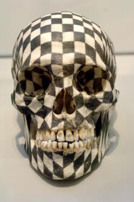 Mark Matthews Skull - a long lost ancestor?
