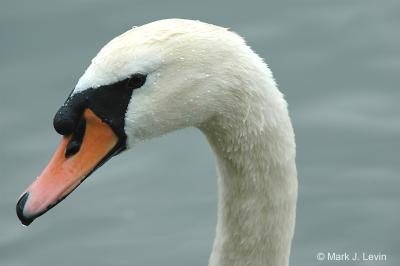 DSC_0026d.jpg