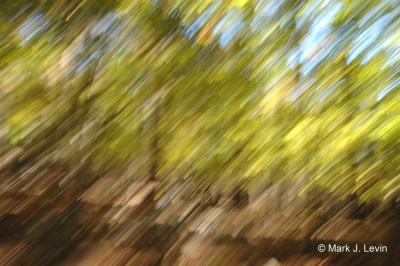 DSC_0012a_sig.jpg