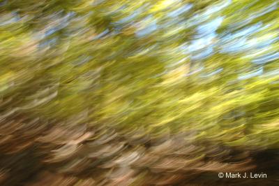 DSC_0009a_sig.jpg