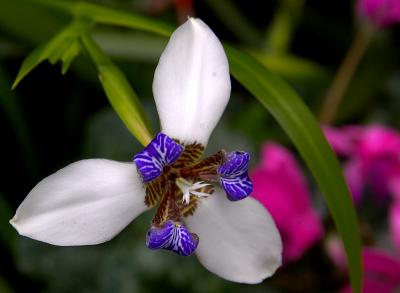 CRW_21805.jpg