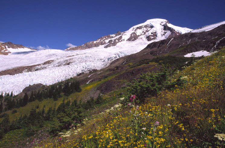 Mt. Baker 4.JPG