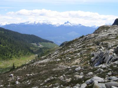 IMG_0037.JPG