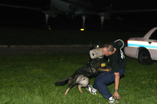 Tampa Police K-9 Unit