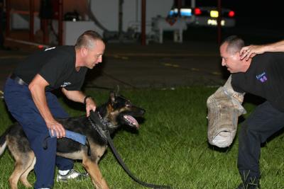 Tampa Police K-9 Unit