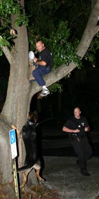 Tampa Police K-9 Unit