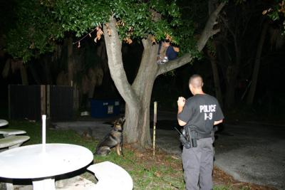 Tampa Police K-9 Unit