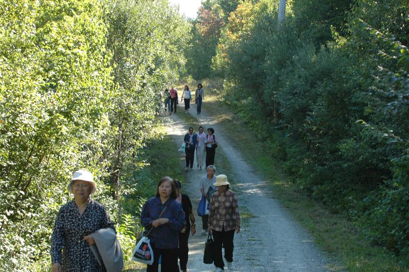 walking in silence