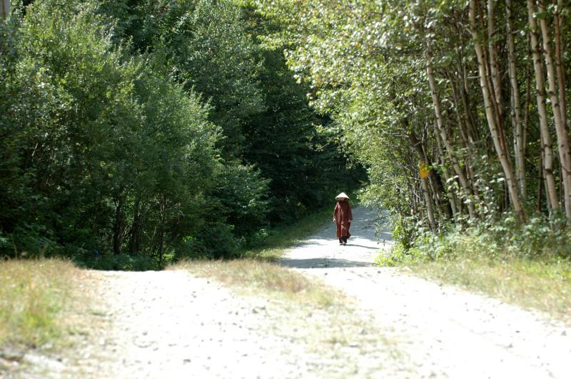 Walking in mindfulness