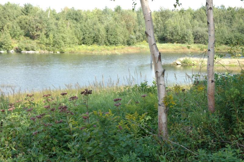 A calm lake