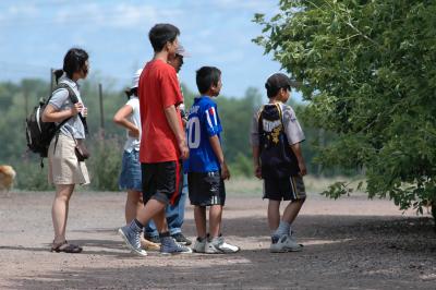 visitors