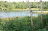 A calm lake