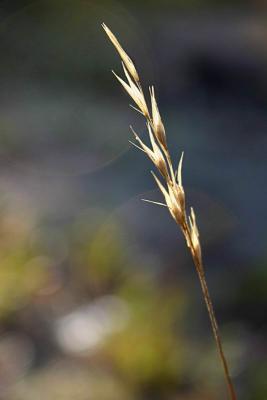 Fragile sous le Soleil / Fragile under the Sun