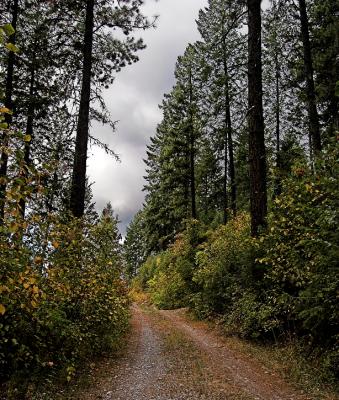 Back Roads in Autumn