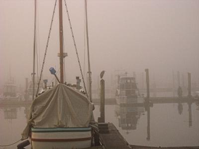 Salmon fleet, Ilwaco