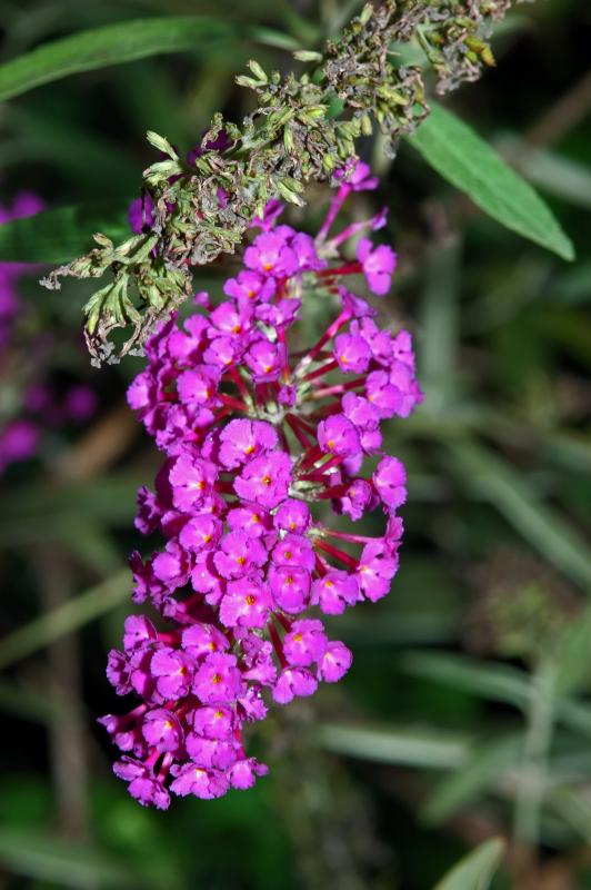 Meadowside144.jpg