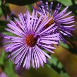 9-19-05b-076.jpg