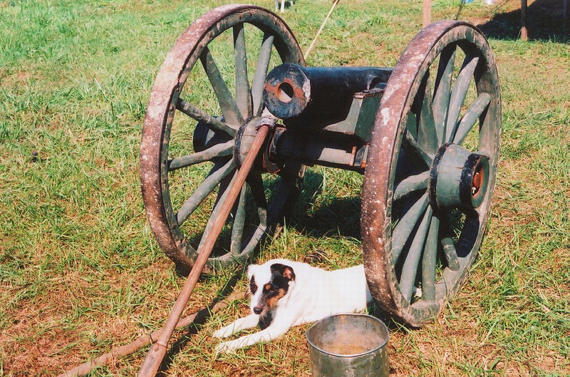 doggie.JPG