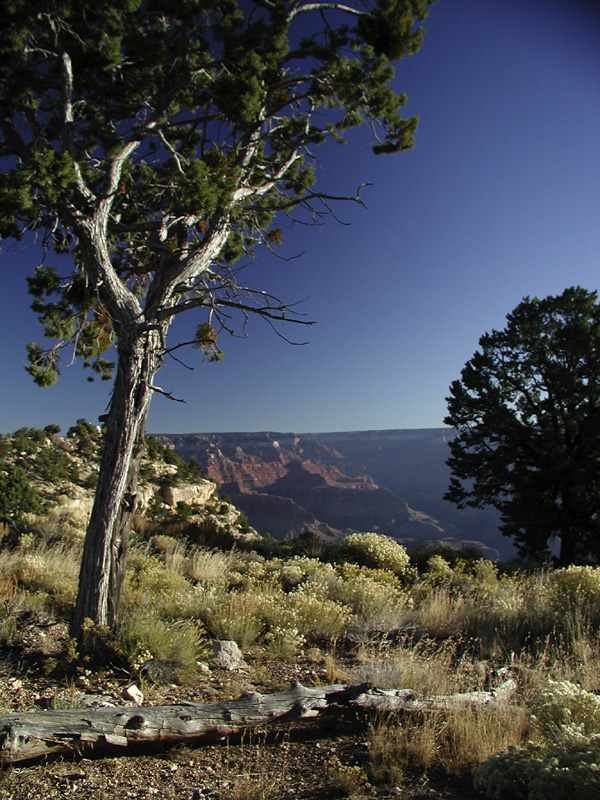 Grand Canyon Sunrise