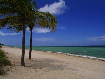 Ft Lauderdale Beach