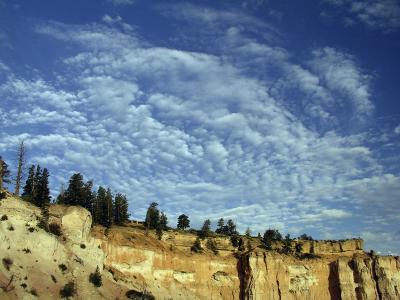 Bryce Canyon Summer