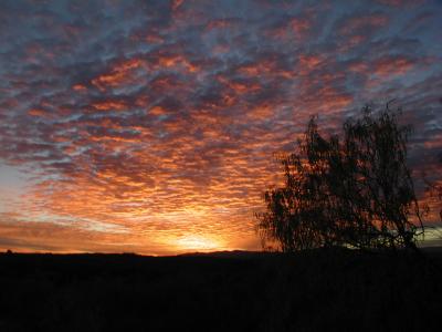 Canyonland Sunset