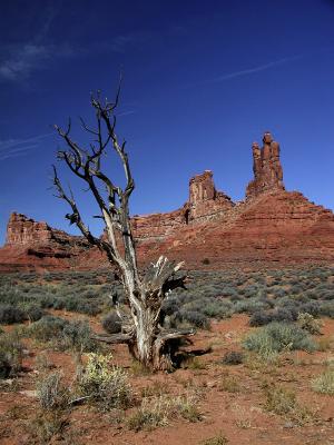 Valley of the Gods