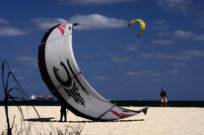 Beach Kites 2