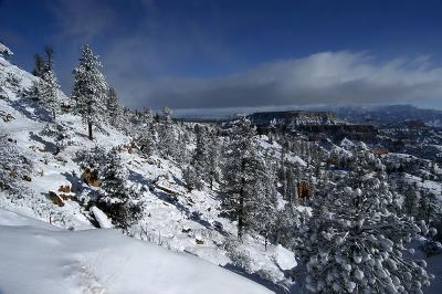 Bryce Canyon Winter