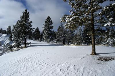 Bryce Canyon Winter