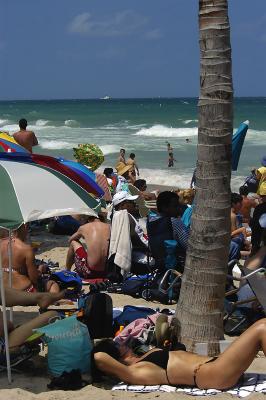 Beach Crowd