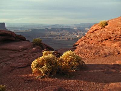 Canyonlands Overlook