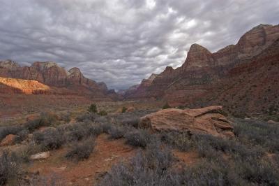 Zion Winter