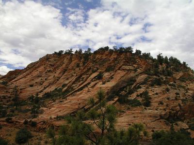 Zion Red Rocks