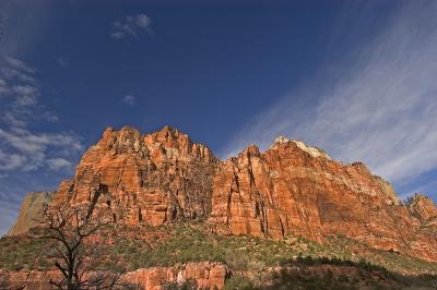 Zion Morning 