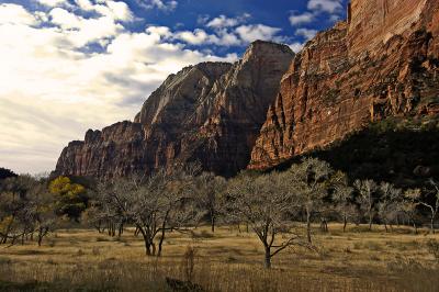 Zion Valley Floor