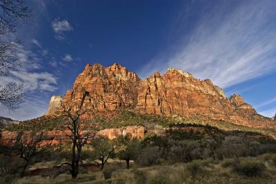 Zion Morning