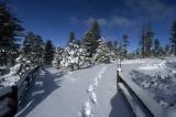 Path to Rim Trail