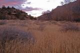 Zion Sunrise