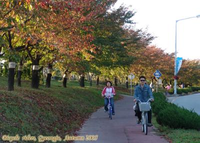 Biking is the best way to enjoy the scenic beauty of  Gyeongju.