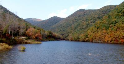 DSC01588.jpg
