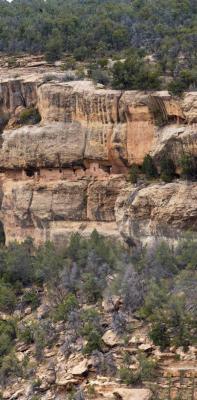 Canyon Wall with Dwellings