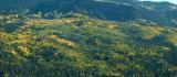 Aspen on Wolf Creek Pass