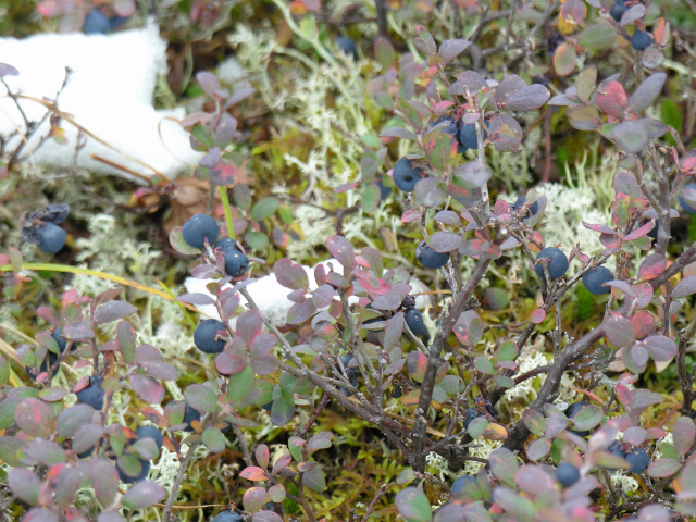 DSCN1251.JPG