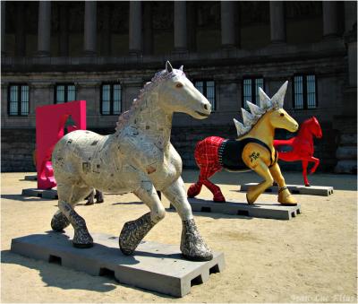 horseparade Brussels
