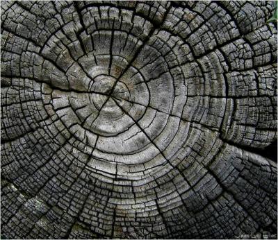 hout.jpg