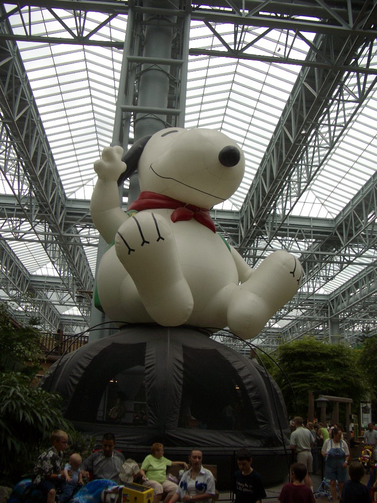 IMGP1528.JPG